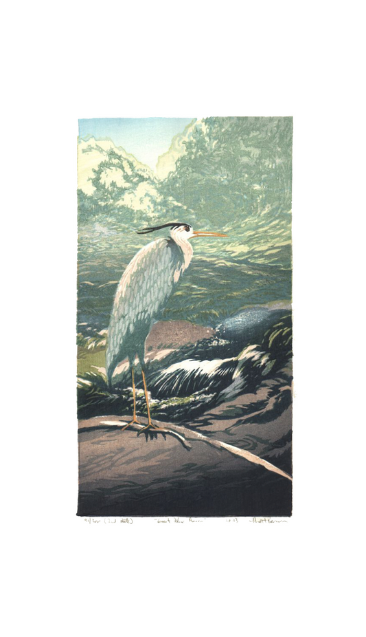 Great Blue Heron, 2nd state