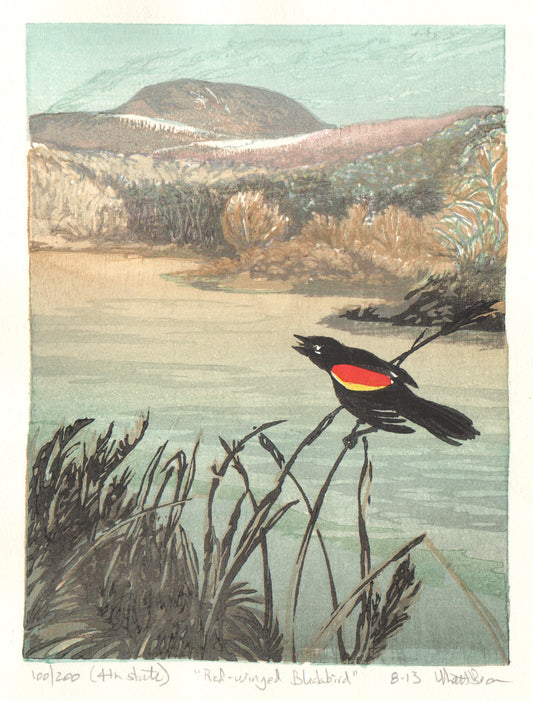 Red-Winged Blackbird