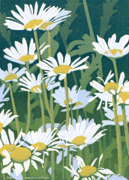 Daisies