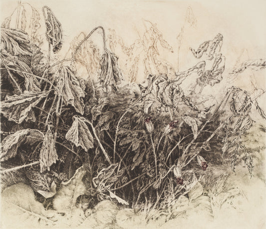 Hard Frost - Letting the Garden Go