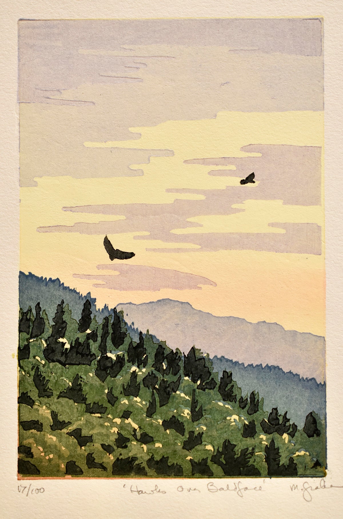 Hawks over Baldface