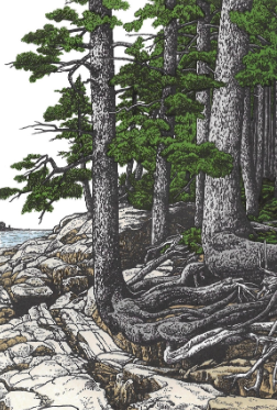 Downeast Maine