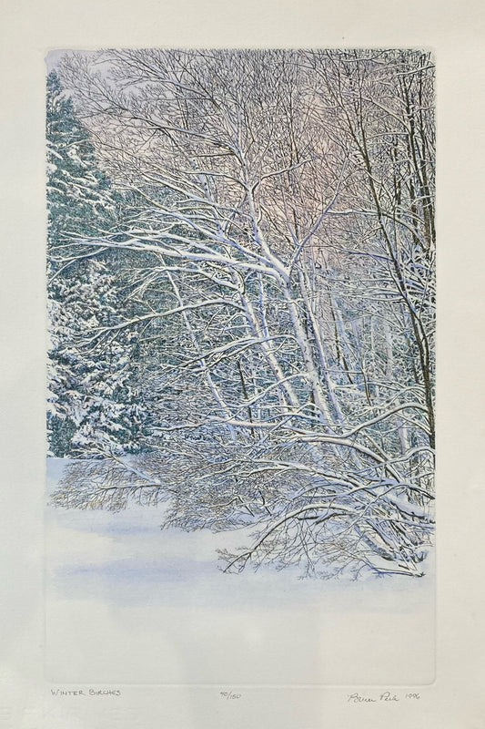 Winter Birches