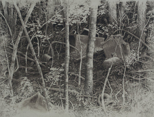 The Farmhouse Burned in 1969