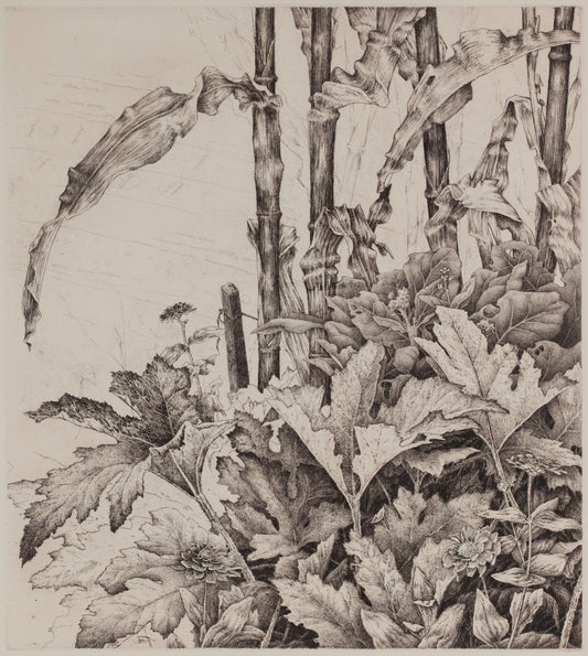 Looking at Fall / Thinking of Spring