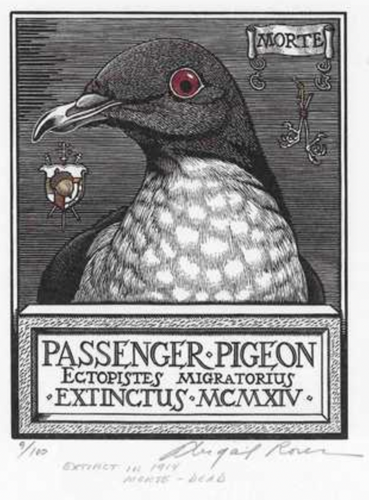 Passenger Pigeon, Extinct in 1914, Morte - Dead